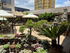 -山菌美食苑(振兴路店)