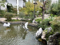 -广富林宰相府酒店·水云间