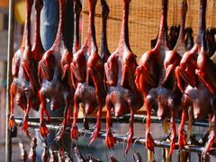 -孝店王酒酿馒头(安昌1店)