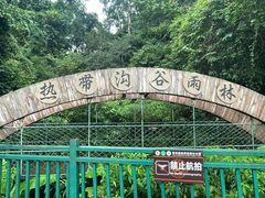 -西双版纳原始森林公园