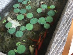 -青岛市金钥匙幼儿园