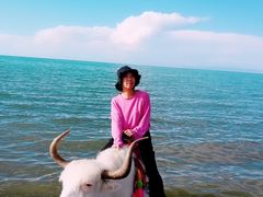 -青海湖国家重点风景名胜区