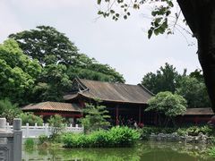 -顺峰山公园