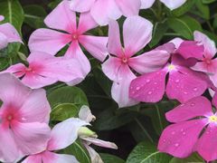 -朝阳公园