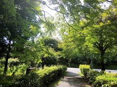 -京都御所