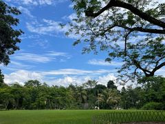 -中国科学院西双版纳热带植物园