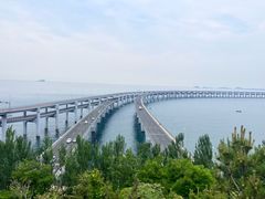 -星海湾跨海大桥