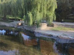 -食悦江南·淮扬菜·烤鸭(亚运村·惠新店)