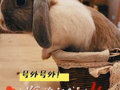-猫猫幼稚园·撸猫·桌游·电玩