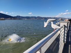 -海埂大坝