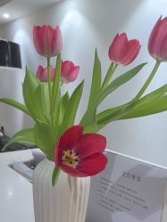 -春田皮肤管理中心品牌旗舰店