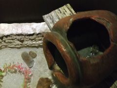 -海悦容庭SPA·按摩·推拿(埌西店)