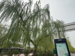 -咸阳湖景区