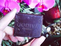 -GODIVA(王府井apm店)