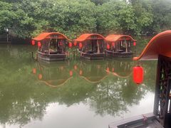 -侨美·唐荔园·40年地道粤菜