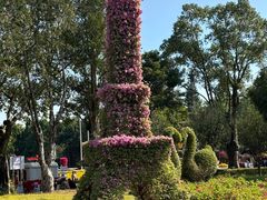 -东南花都花博园