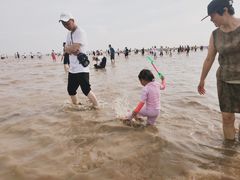 -奉贤海滩