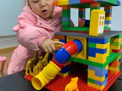 -韦伯科创·少儿编程·乐高·机器人(新光华教育中心)