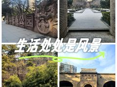 -木塔寺遗址生态公园