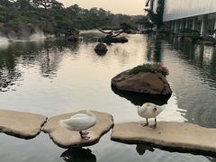 -罗红摄影艺术馆