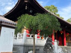 -灵谷景区