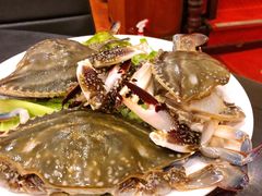 梭子蟹-吉友粥底火锅(方斜路店)