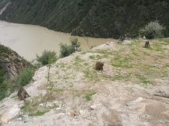 -达古峡谷风景区