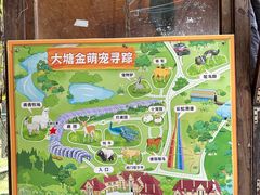 -大塘金香草谷