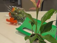 -眉州东坡(华联万柳店)