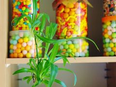 -家琳甜品(江南东店)