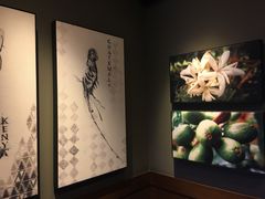-星巴克(舟山蜈蚣峙店)