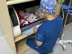 -谐和益家动物医院·免疫绝育·血液透析·宠保定点医院(高新伊藤分院)