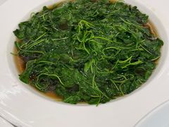 -圆苑(静安寺店)