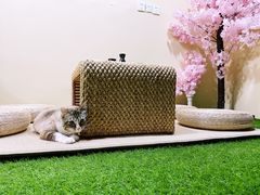 -白兔子密室(长寿路店)