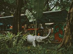 -晓港公园