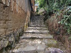 -杨家堂村
