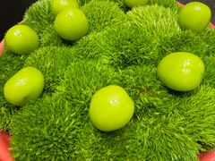 -会仙楼(金融街店)