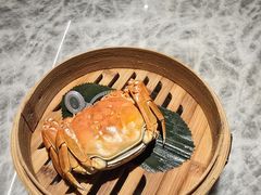 -点都德(锦粤壹号IFS国金店)