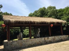 -白马涧龙池景区
