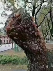 -姜美堂·蒸姜除湿の纤体美颜馆