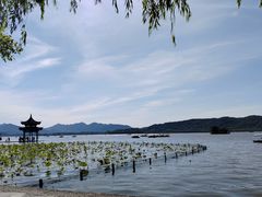 -知味观(湖滨店)