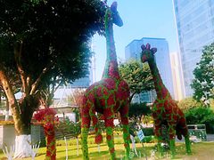 -重庆市江北嘴中央商务区中央公园