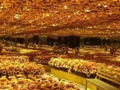 -成都梵高星空艺术馆(春熙路旗舰店)
