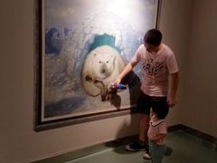 -成都泰迪熊博物馆