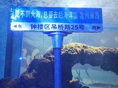 -常州海昌海洋探索馆