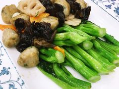 鱼丸炒菜心-龙的酒楼·手工早茶·顺德菜(近良路店)