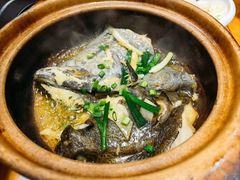 啫啫鸦片鱼头-金龙·打边炉(南京西路店)