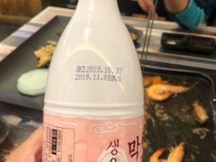 -海抱猪