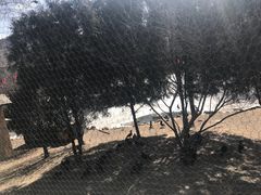 -太原动物园