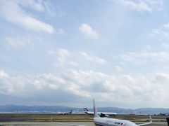 -关西国际机场直营免税店